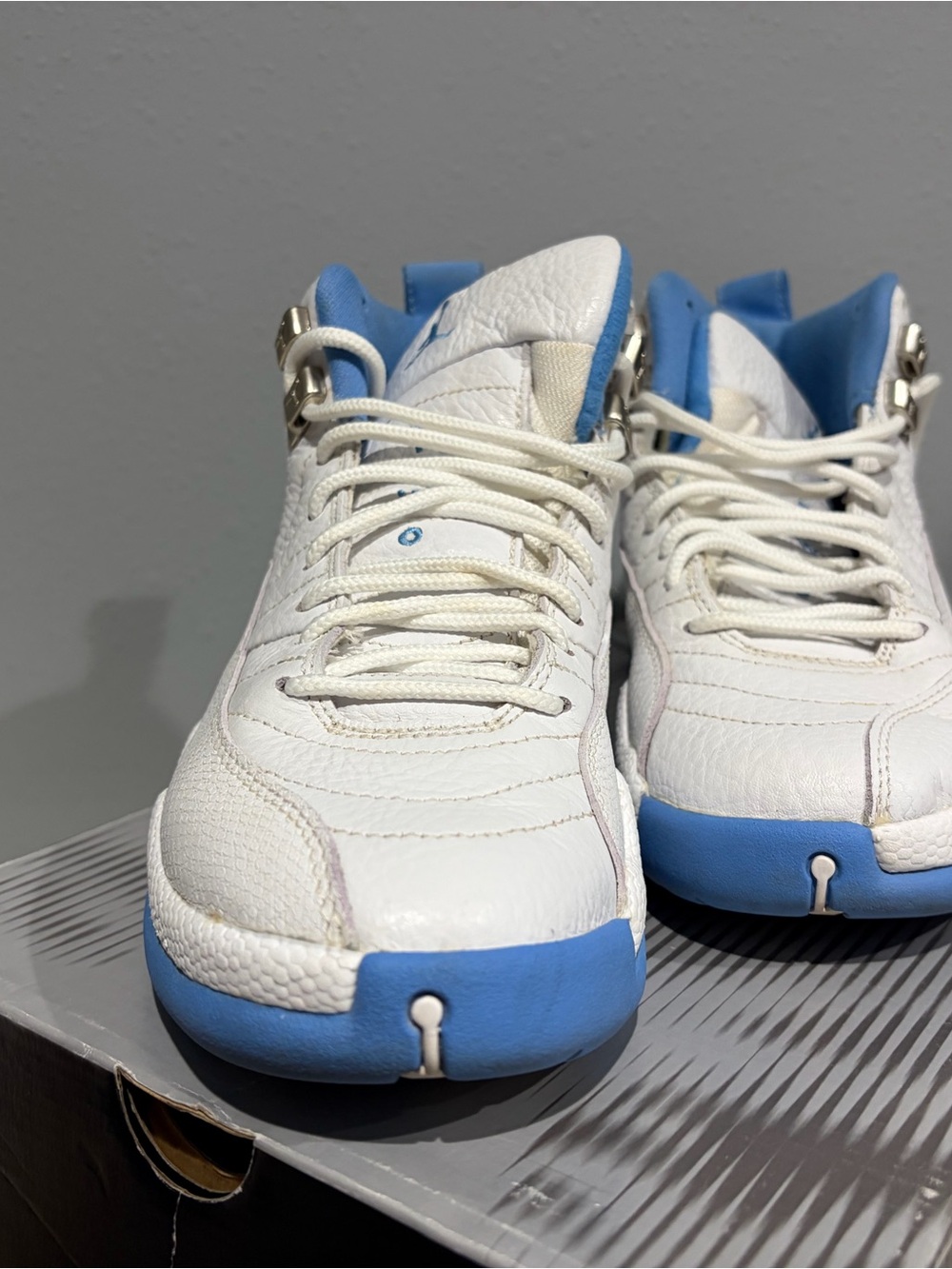 Jordan 12 University